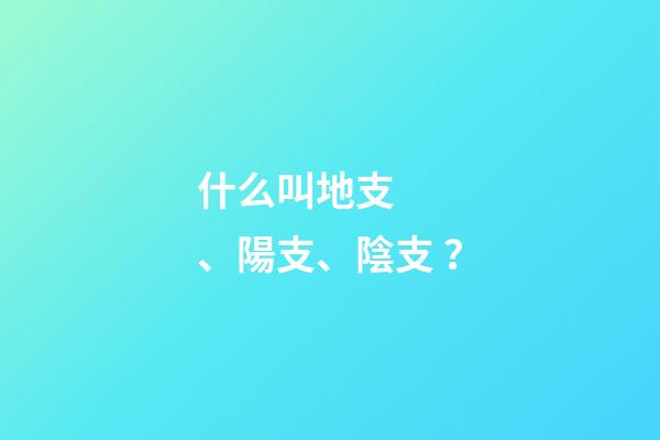 什么叫地支、陽支、陰支？